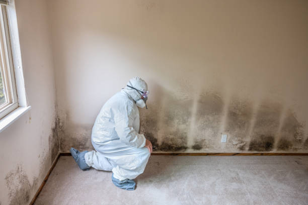 Best Crawl Space Mold Removal  in Duluth, WA